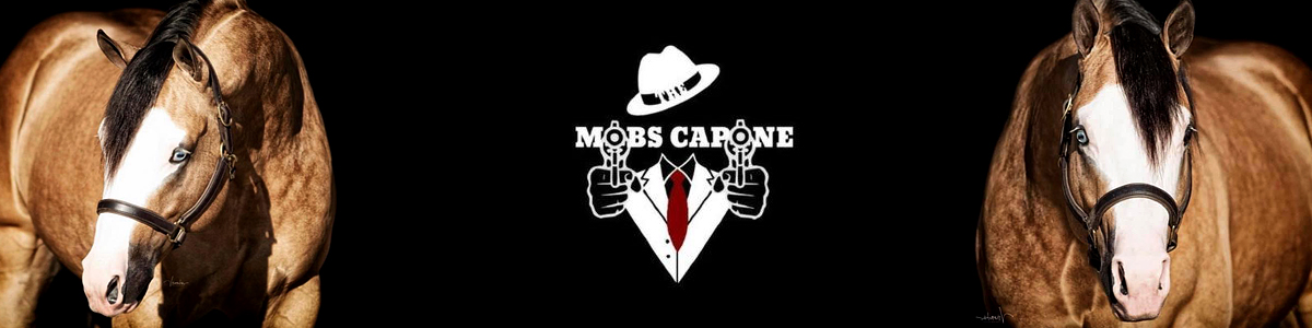 2020-04_sa_slider_the_mobs_capone