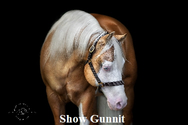Show Gunnit
