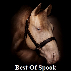 main-best-of-spook3