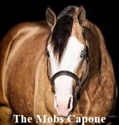 the-mobs-capone_09